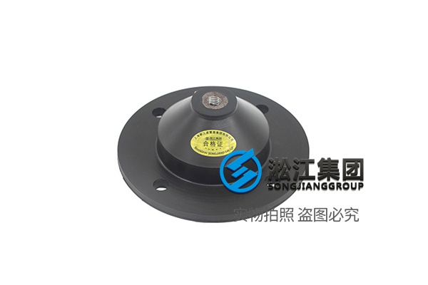 2 水泵橡胶减震器.jpg