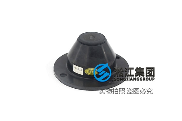 3 水泵橡胶减震器.jpg